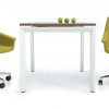 Romana Desks