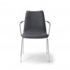 Moxy Arm Chair