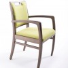 Shuman Arm Chair